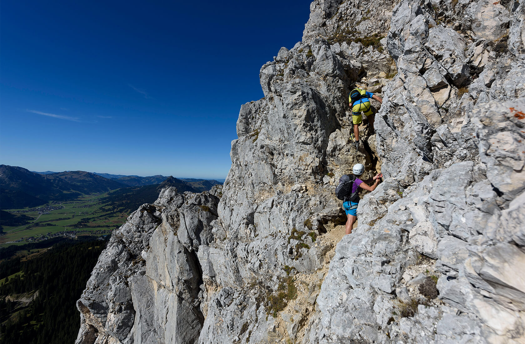 Allmabtrieb im Tannheimer Tal