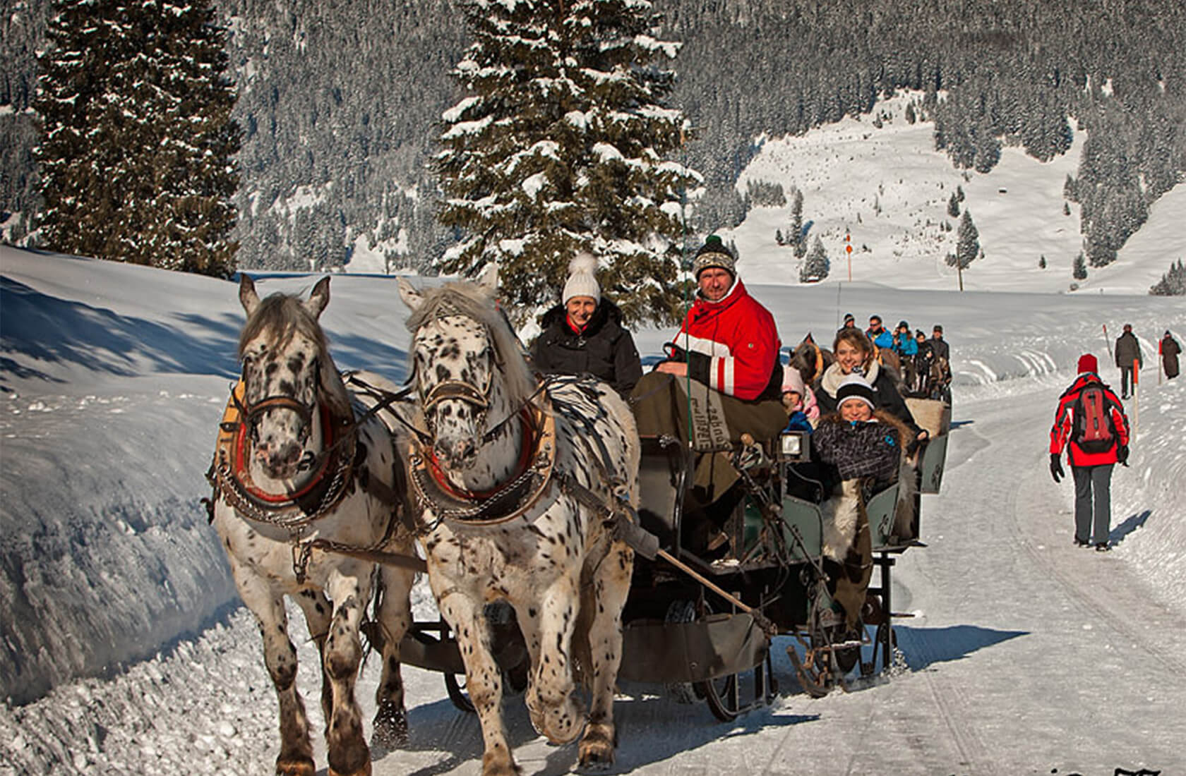 Pferdeschlittenfahrt im Tannheimer Tal