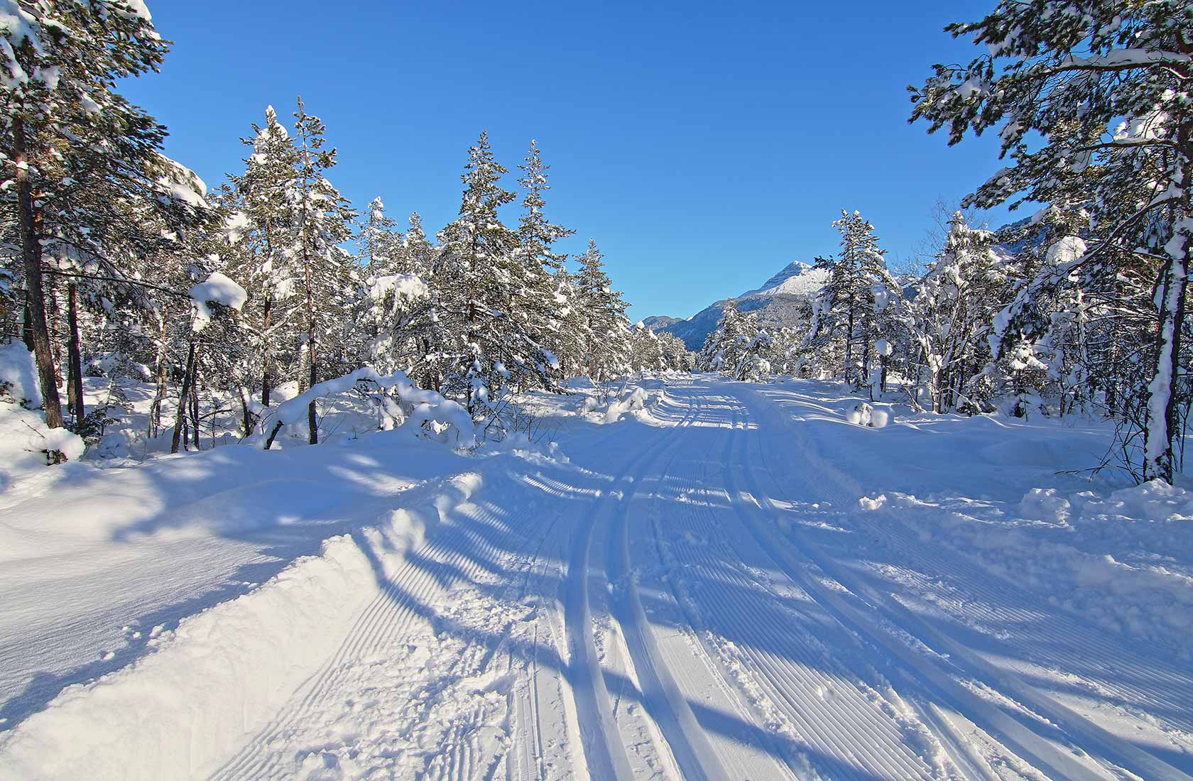 Pferdeschlittenfahrt im Urlaub in Tirol im Tannheimer Tal