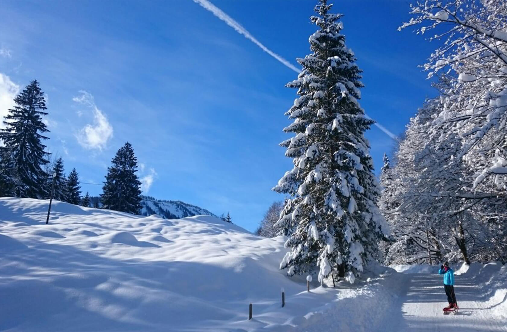 Winteraktivitäten am Haldensee