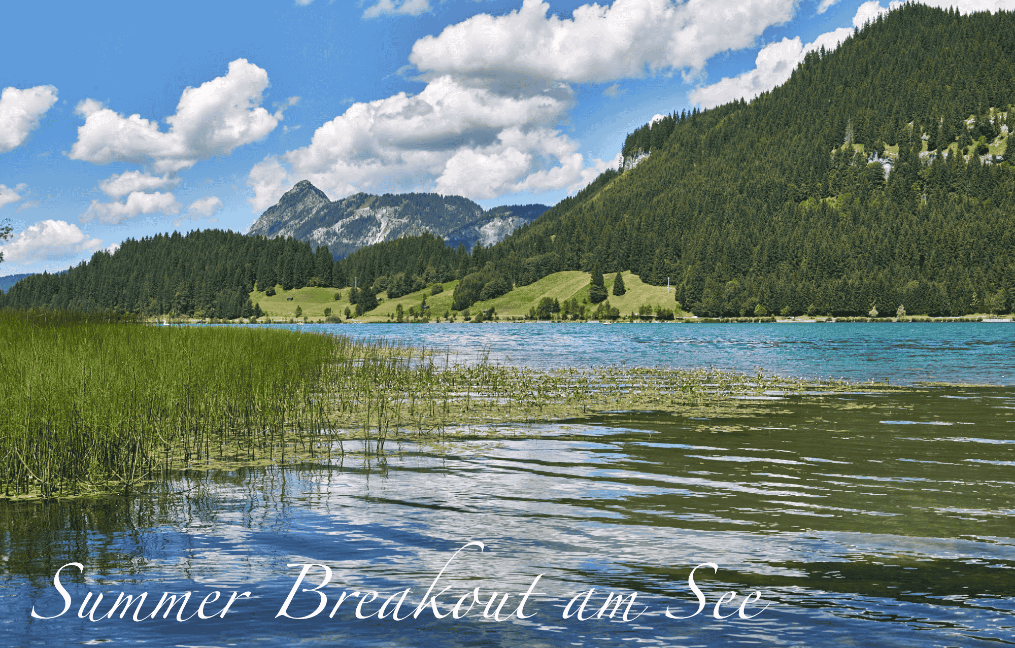 Via Salina – Arrangements Herbst Genuss am See - Hotel Via Salina