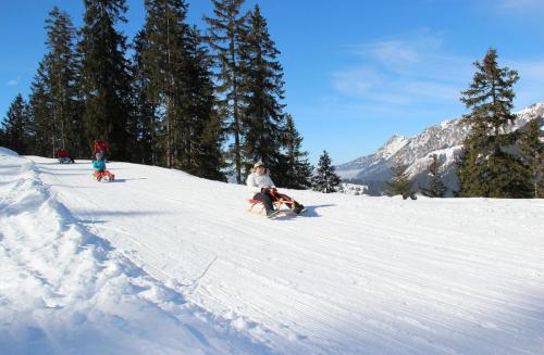 Rodeln & Schlittenfahren im Winterurlaub am Haldensee im Tannheimer Tal