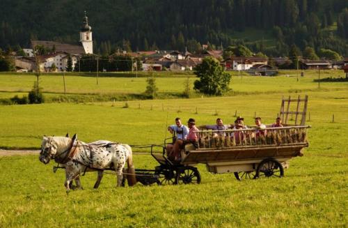 Pferdekutschenfahrt im Tannheimer Tal